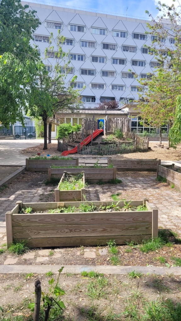 Le jardin potager des maternelles