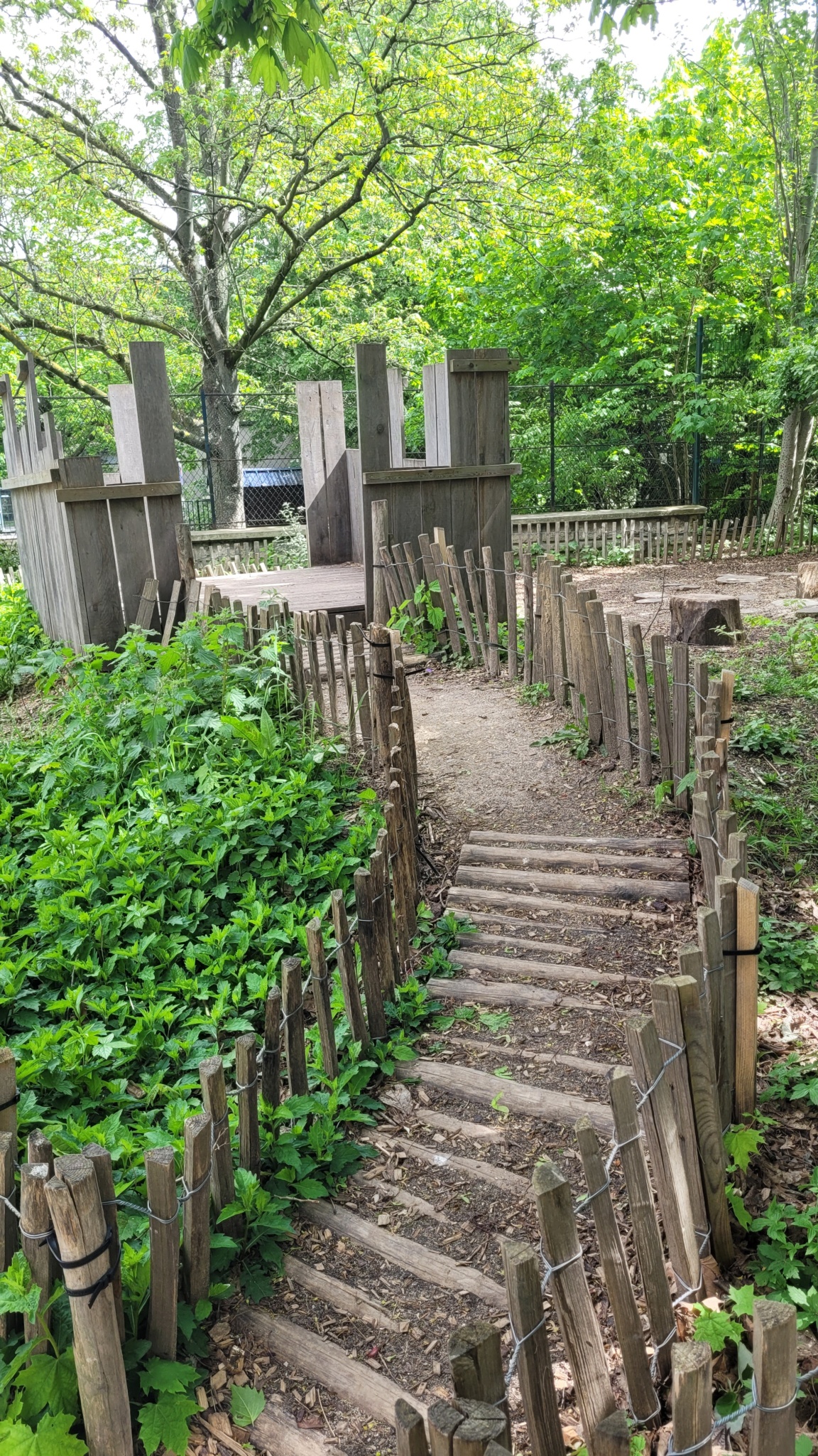 Petit chemin à travers la végétation en élémentaire
