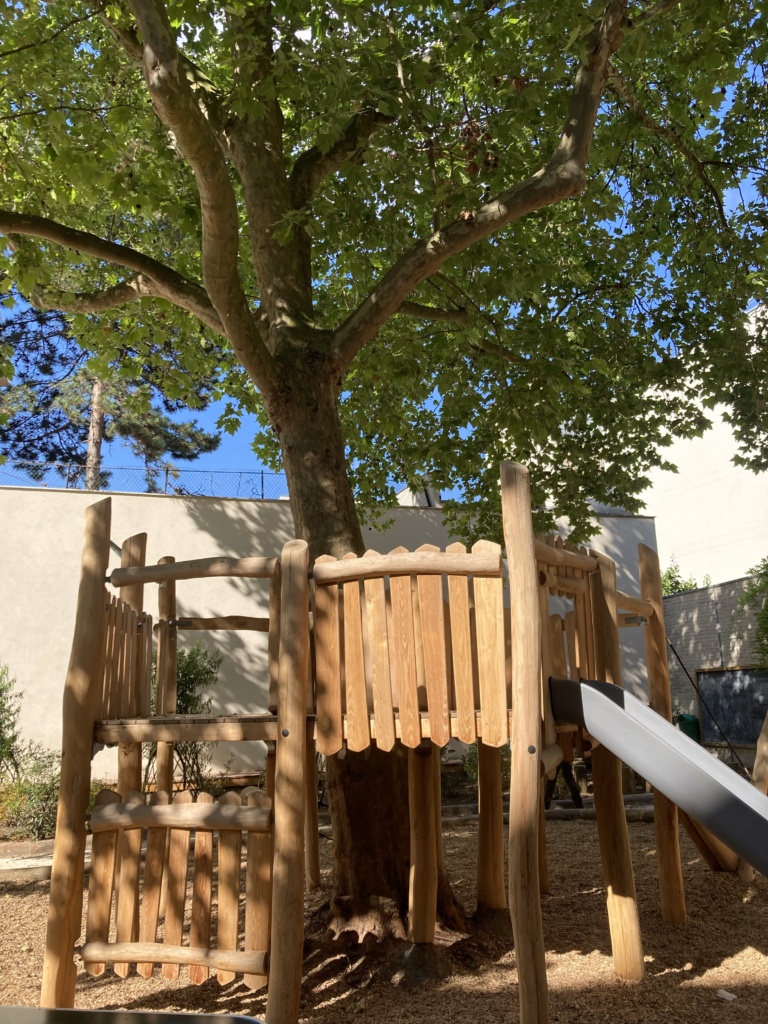 Structure de jeu autour du platane existant