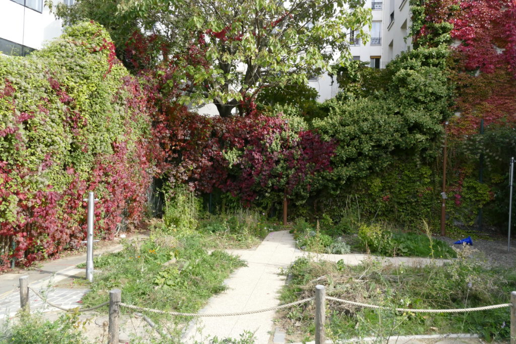 Le jardin potager