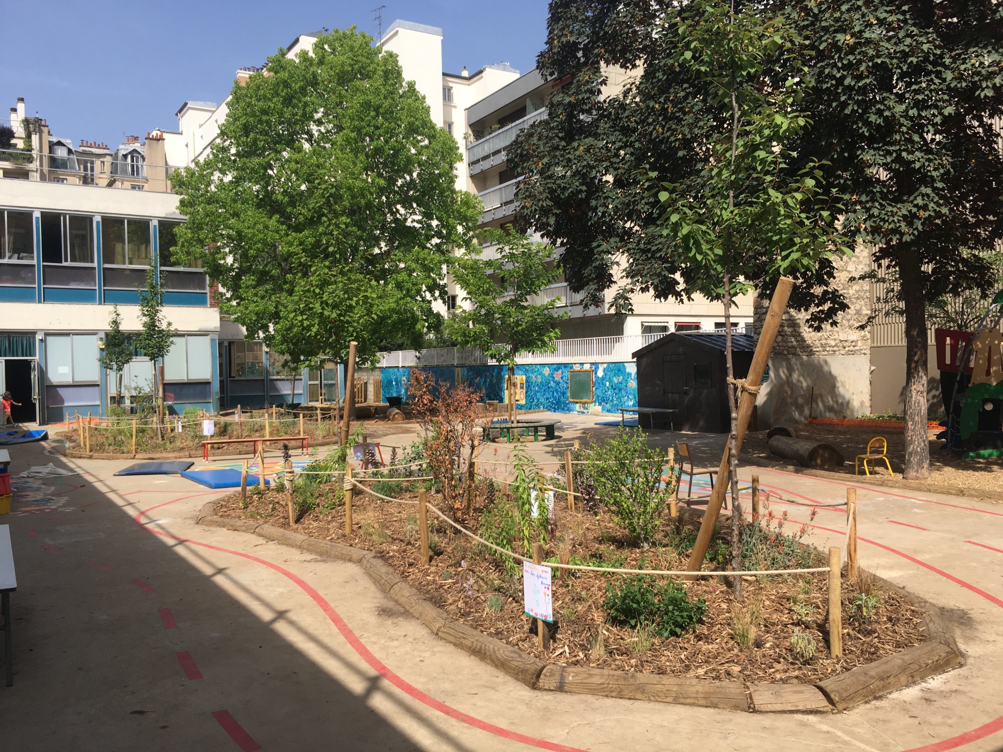 Îlots végétalisés au centre de la cour