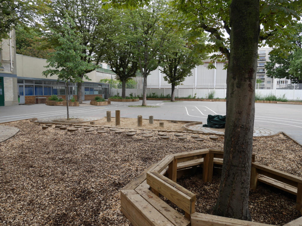 Copeaux de bois et banc en tour d'arbre
