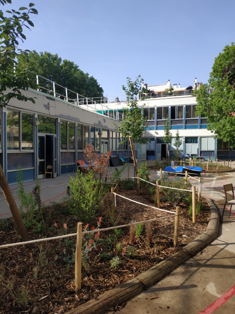 Îlots végétalisés au centre de la cour