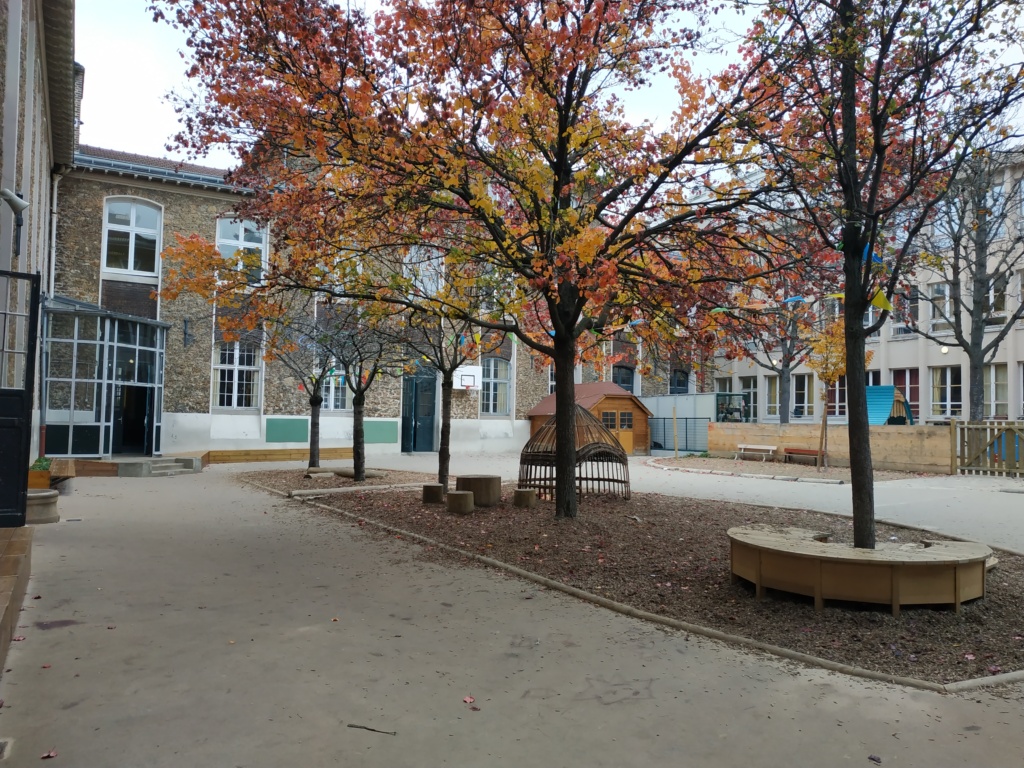 Cour 1 de l'élémentaire - zone perméable centrale avec assises, cabane et grumes au pied des fruitiers