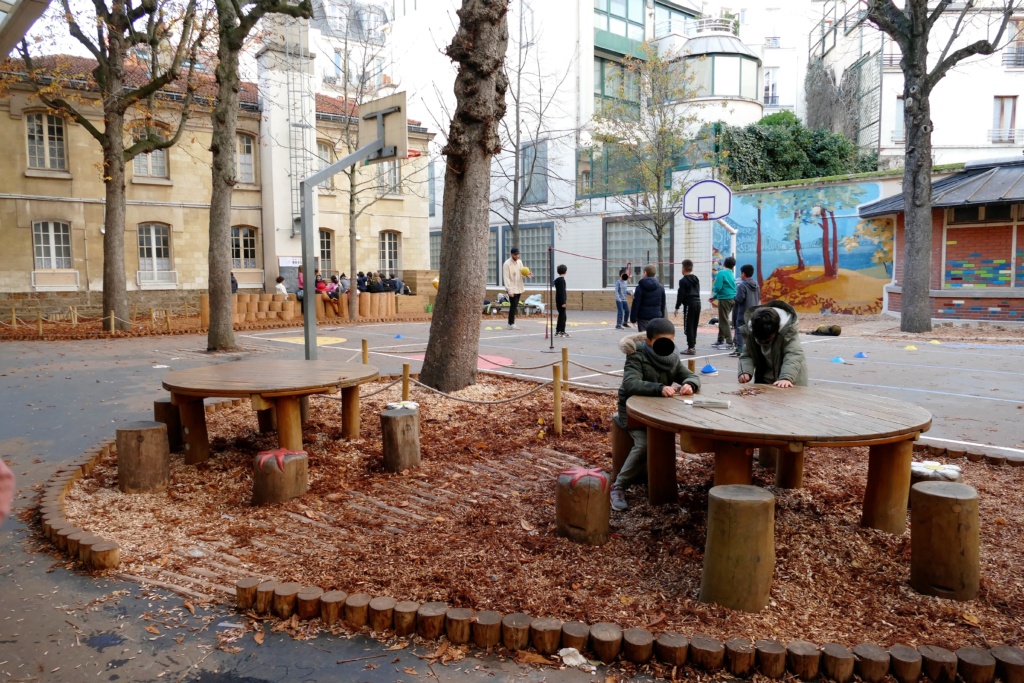 Tables et assises en rondins dans un espace en copeaux