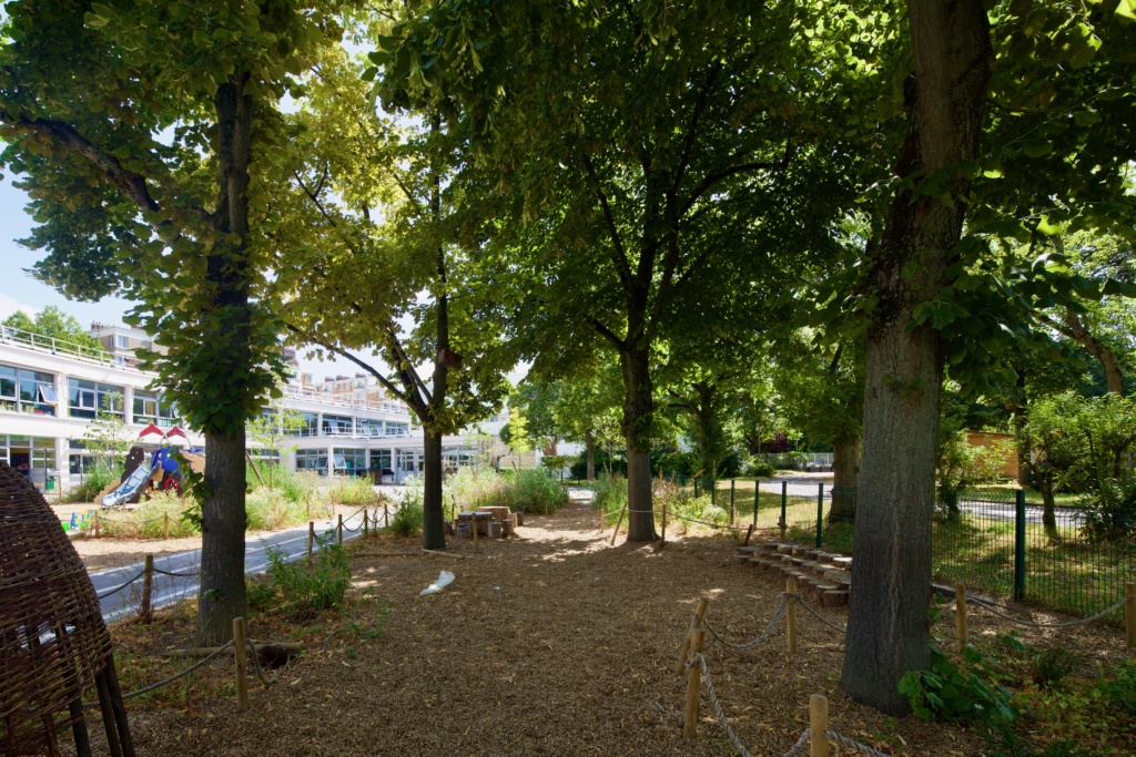 Les enfants peuvent jouer à l'ombre des arbres ou se regrouper dans l'amphithéâtre.