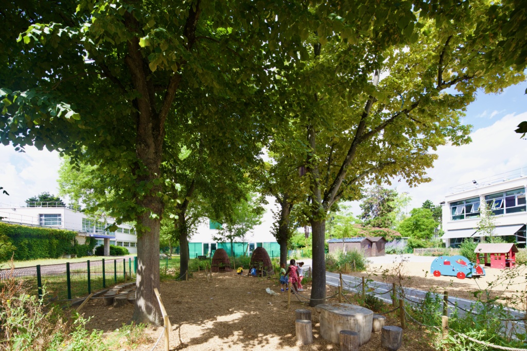 La lisière sous les tilleuls existants est un espace de jeux calmes et fait la transition avec le parc.