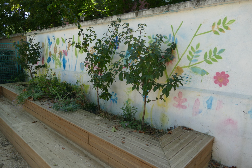 Amphithéâtre et plantations le long d'un mur