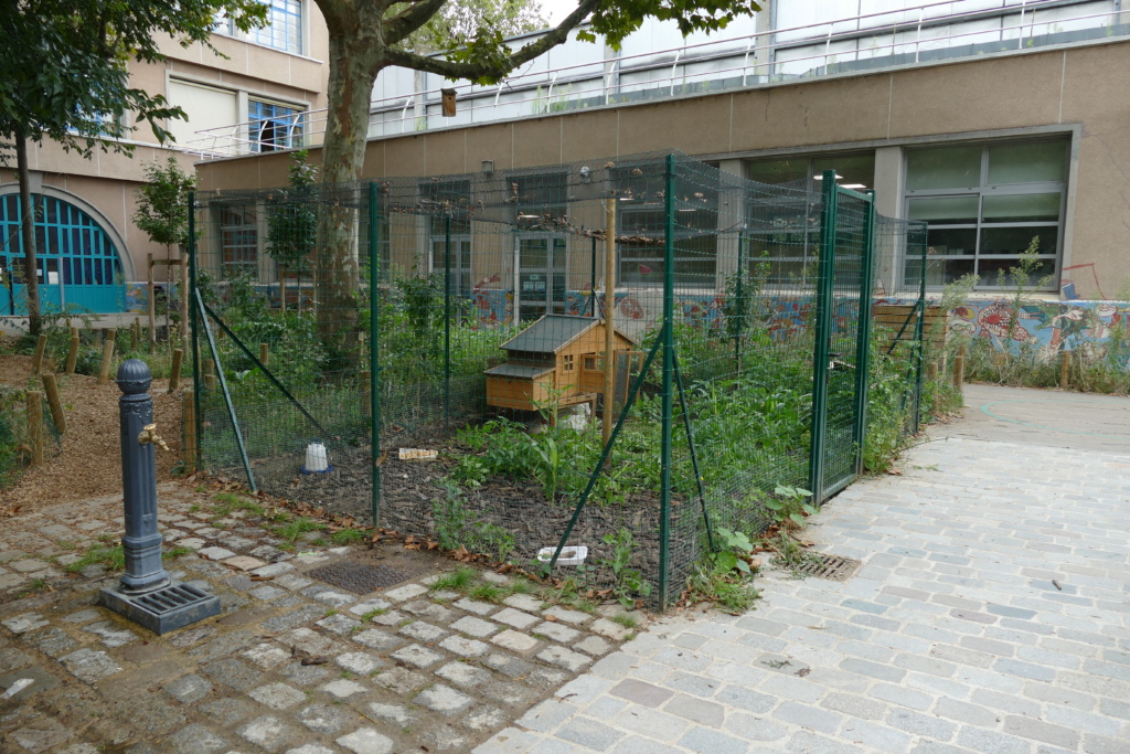 Un poulailler a été aménagé au milieu de la cour pour accueillir les œufs et les poussins du projet pédagogique de l'école
