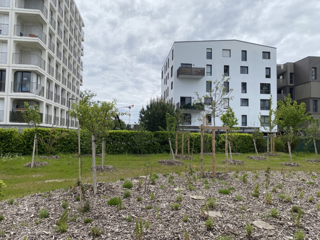 Potager en pleine terre