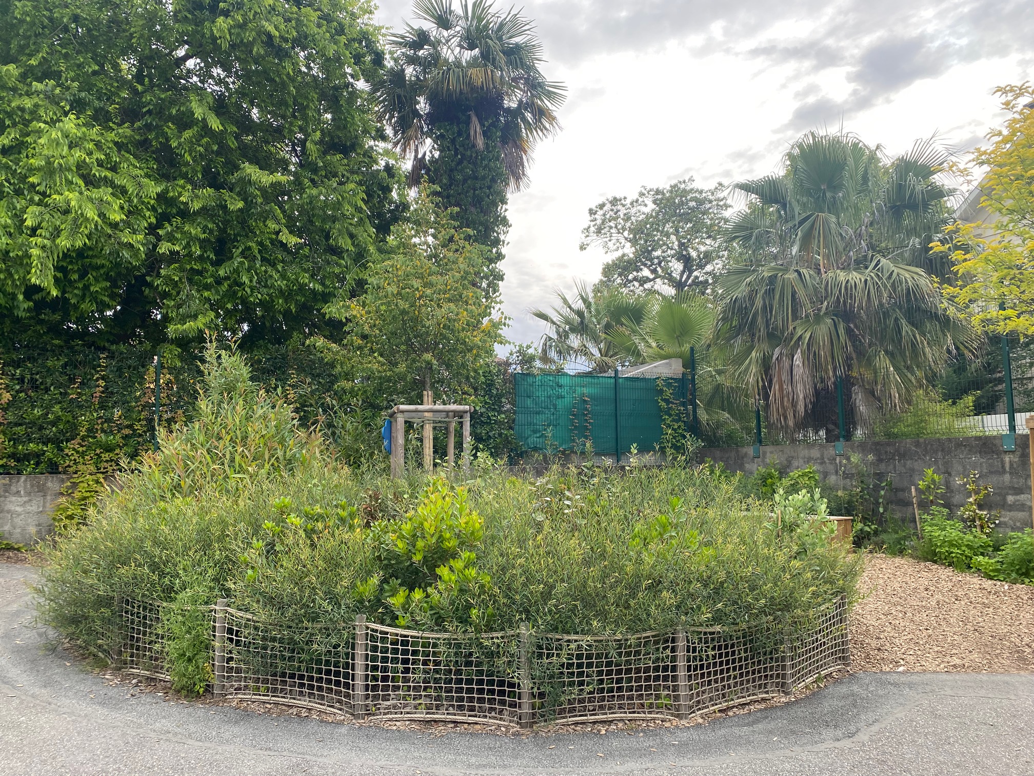 Plantations et clôtures