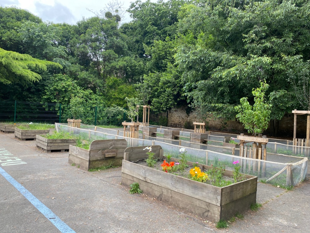 Bacs potagers et verger (mai 2024)