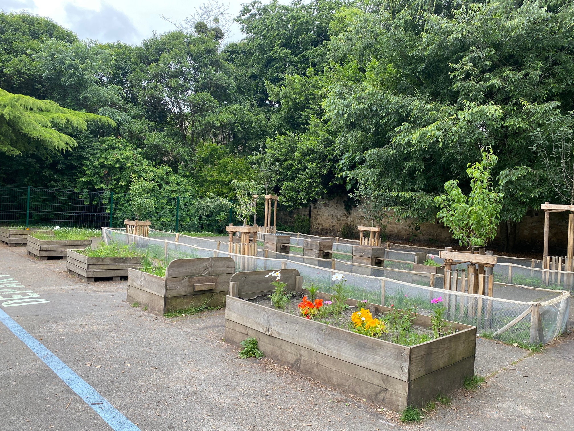 Bacs potagers et verger (mai 2024)