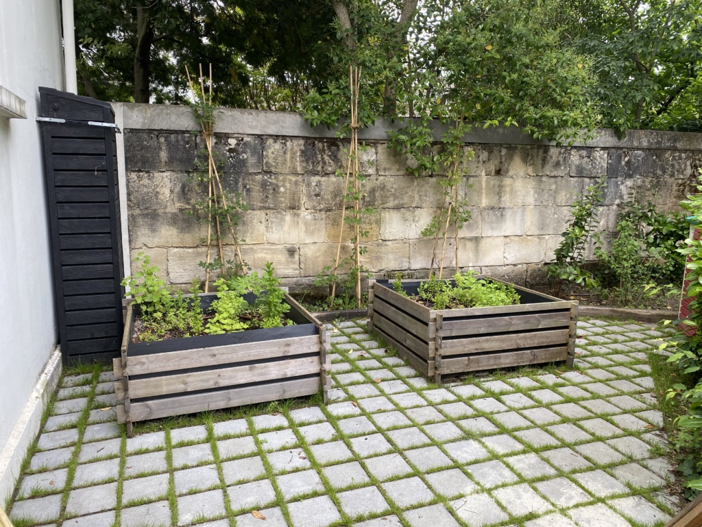 Coin potager