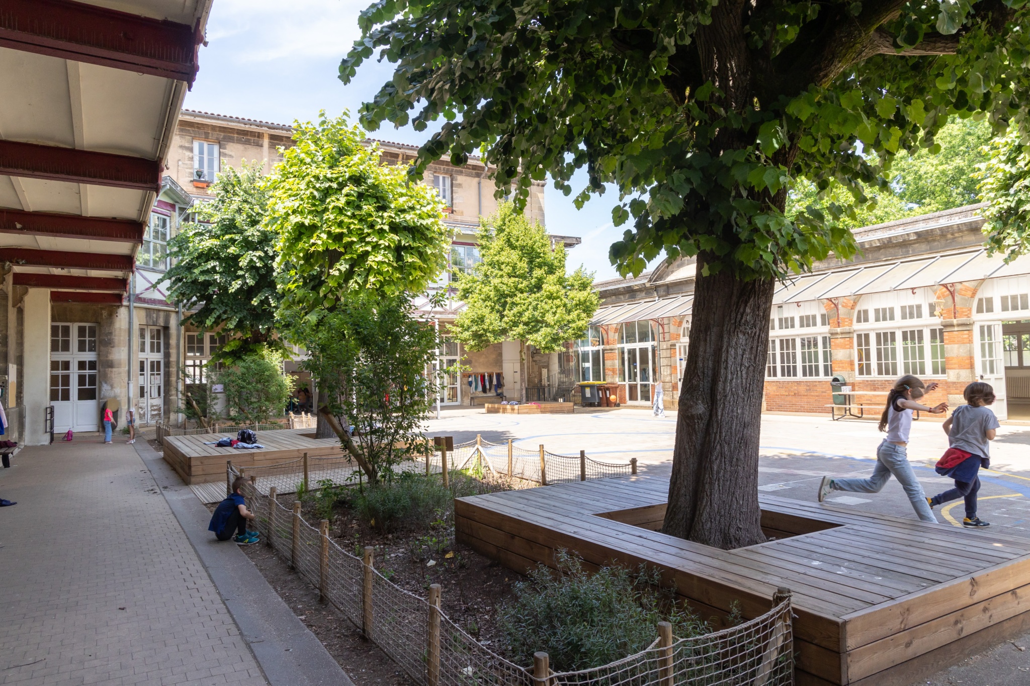 Terrasses en entourage d'arbre