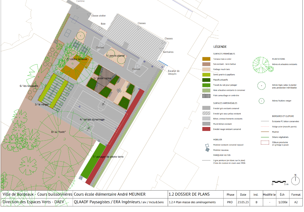 Plan masse du projet 
