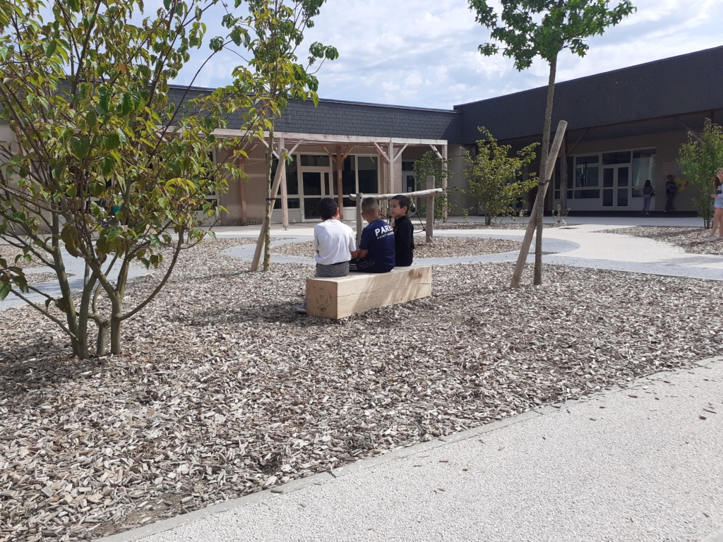 Banc réalisé avec les troncs des arbres abattus en début de chantier
