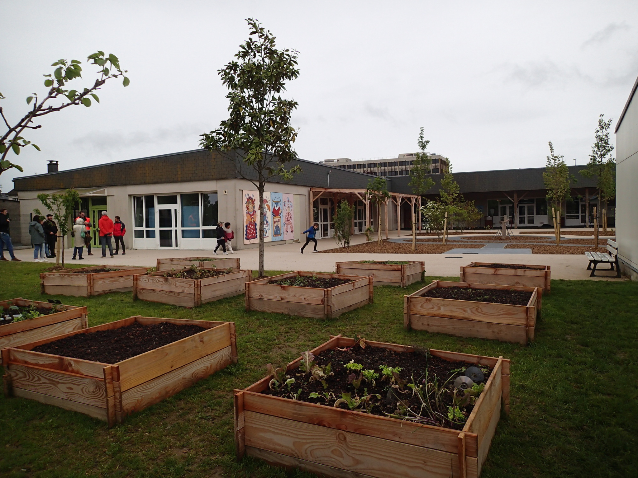 Carrés potagers