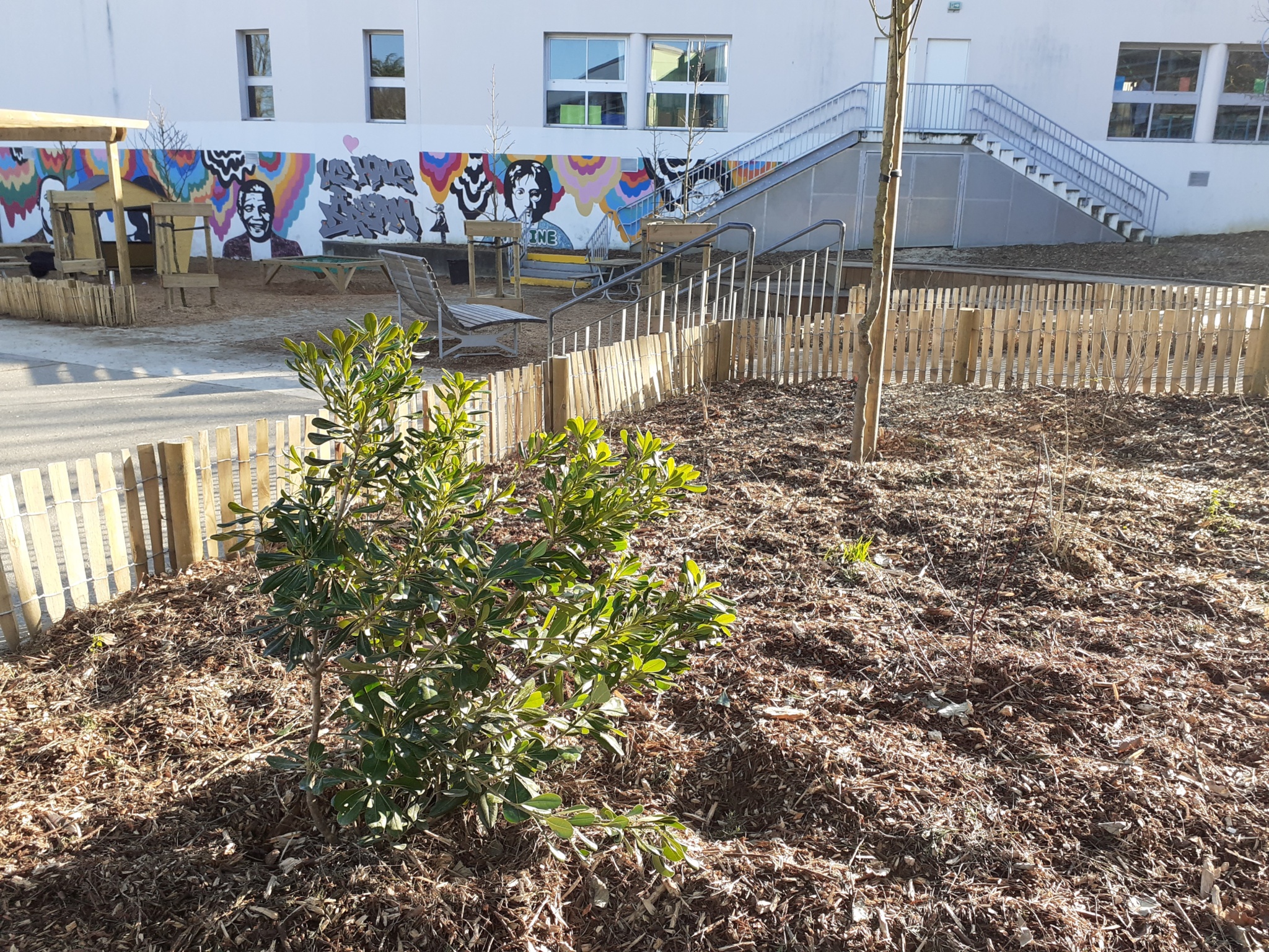 Les espaces de pleine terre qui attendent que la végétalisation prenne corps 