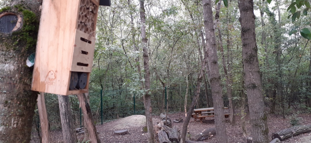 Une cabane pour les insectes qui peuvent regarder les cabanes et jeux des enfants