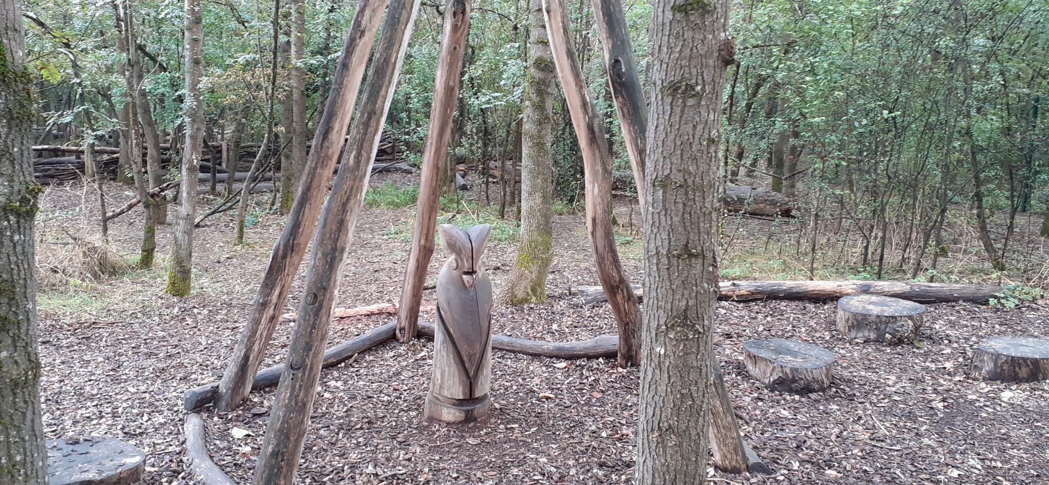 Un hibou caché dans son tipi