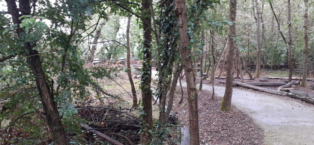Une cour ou plutôt un chemin dans la forêt ?