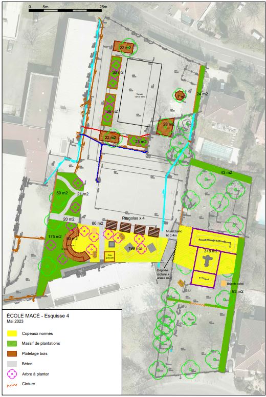 Le dessin de la nouvelle cour Oasis de l'école Macé