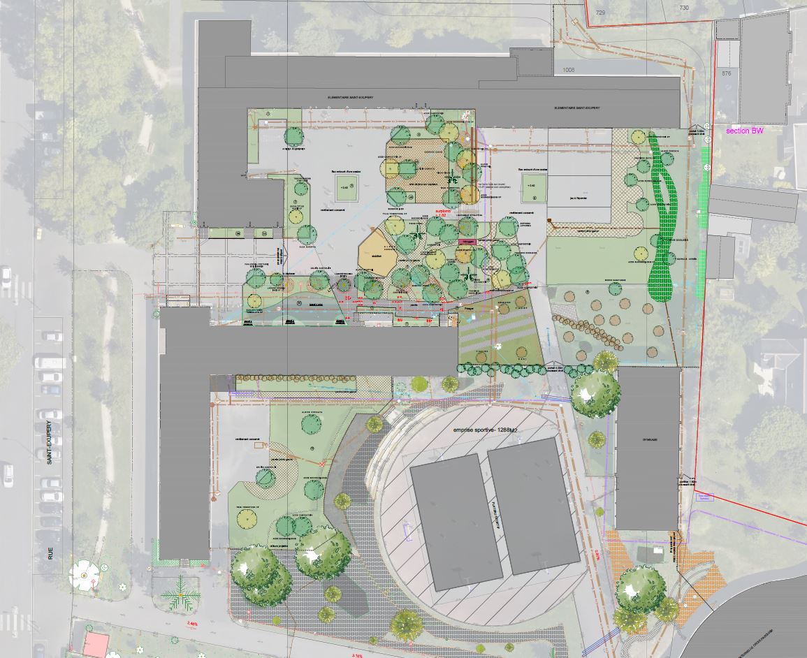 Plan de plantation de l'école Saint-Exupéry