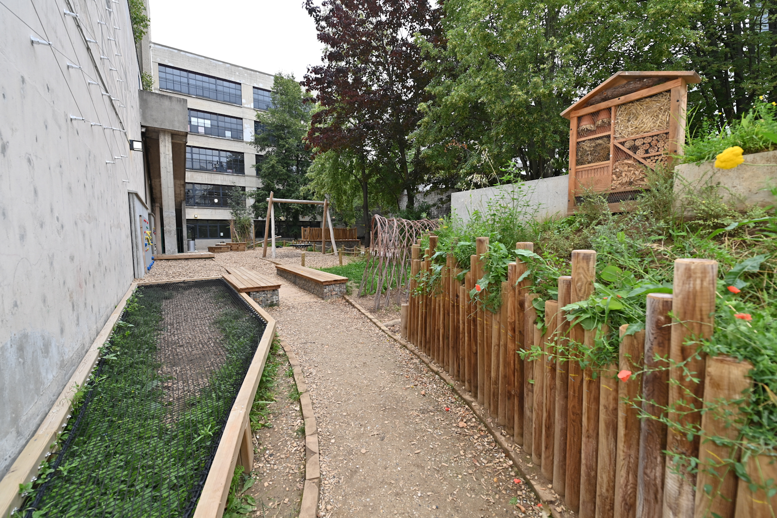 Cheminement entre la butte plantée et le filet pour grimper