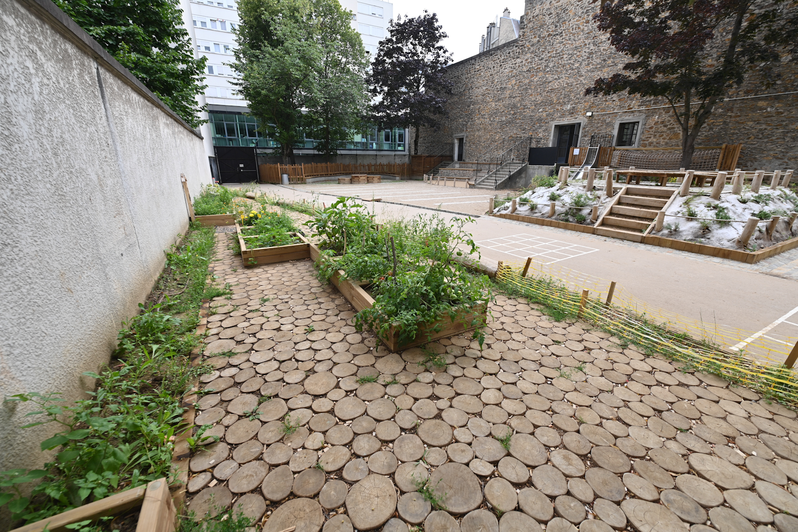 Carrés potager