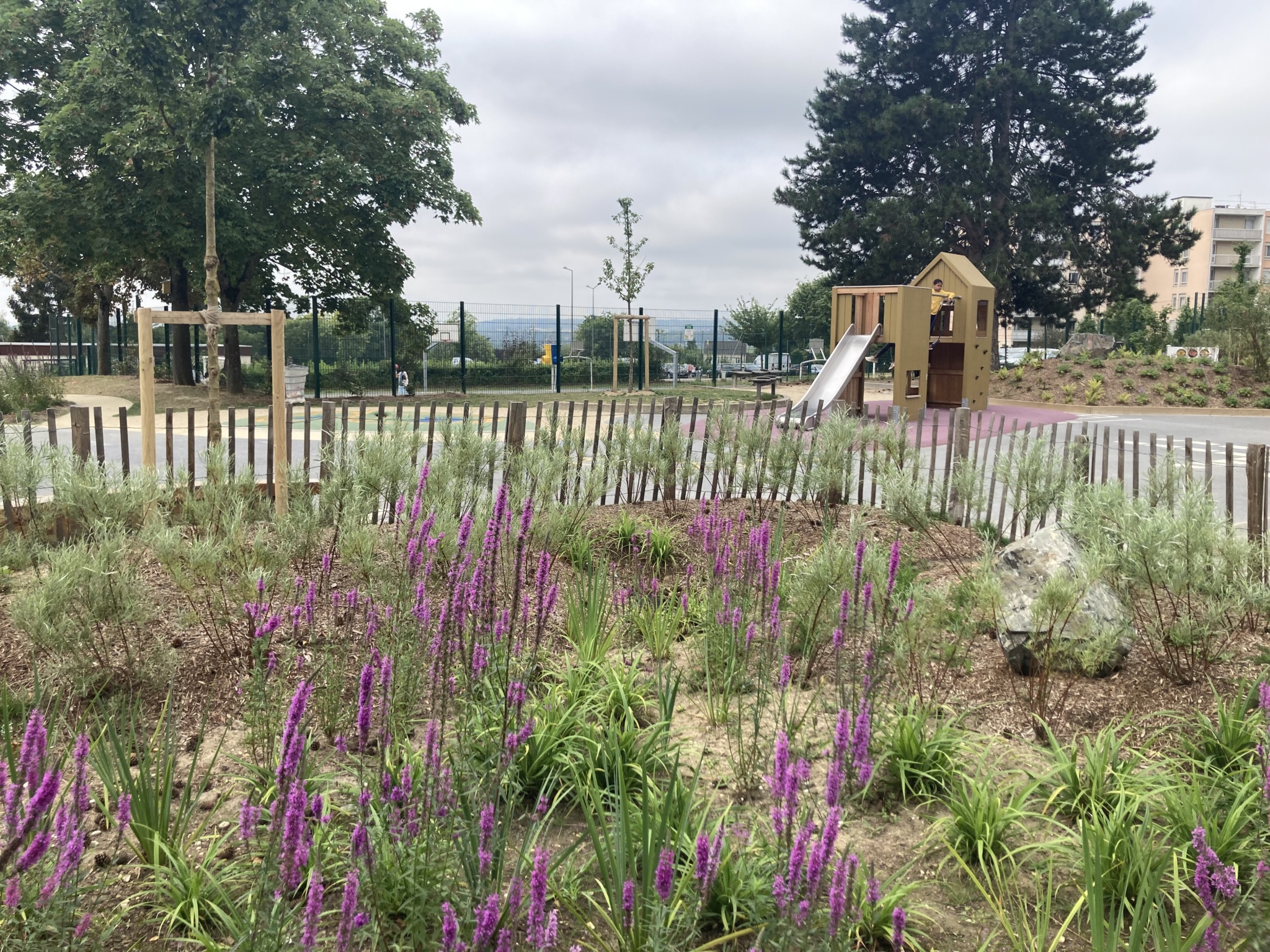 Plantation de la noue centrale