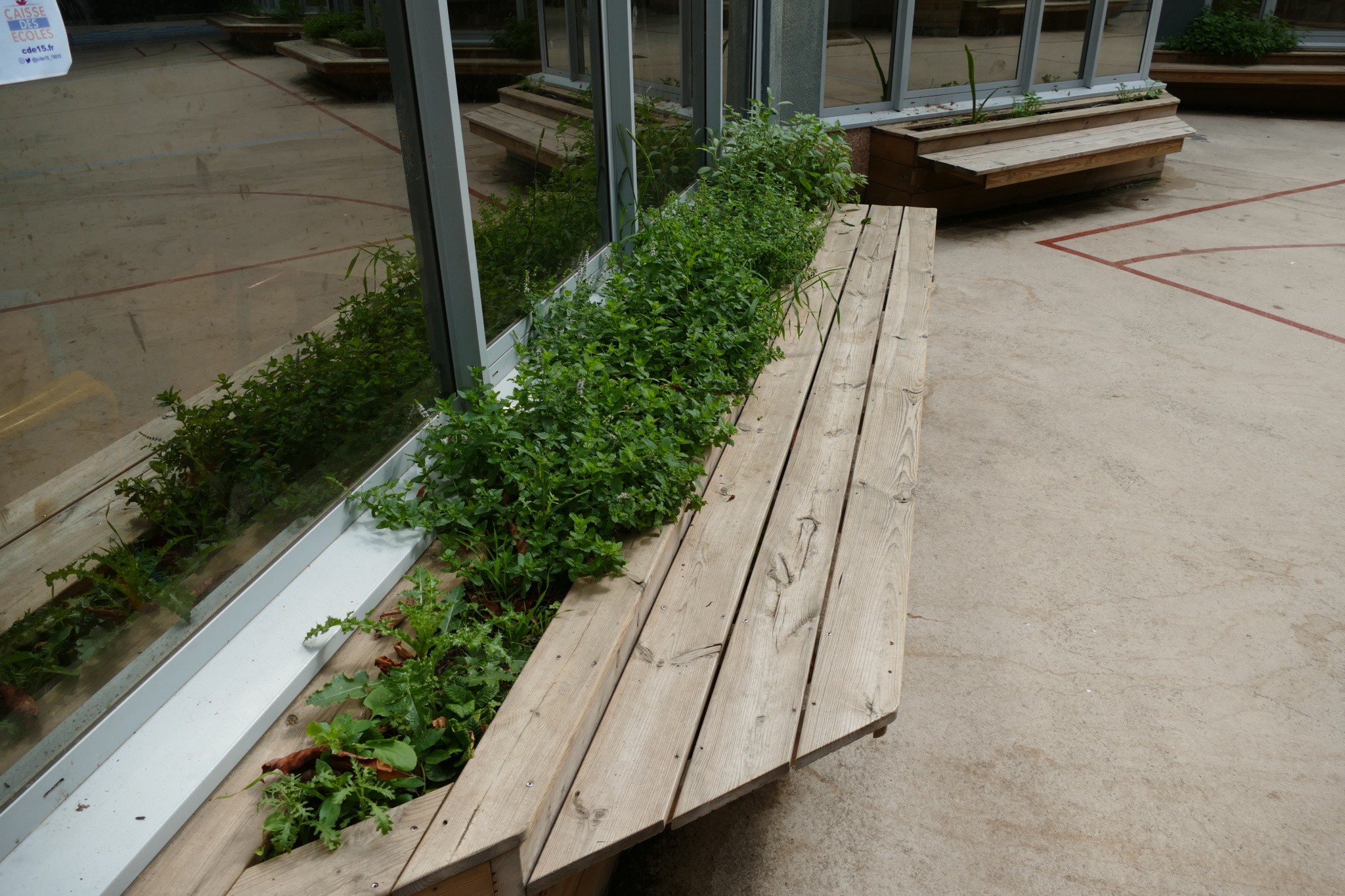 Des jardinières avec banc intégré ont été installées le long des façades du bâtiment, et sont entretenues par les élèves.