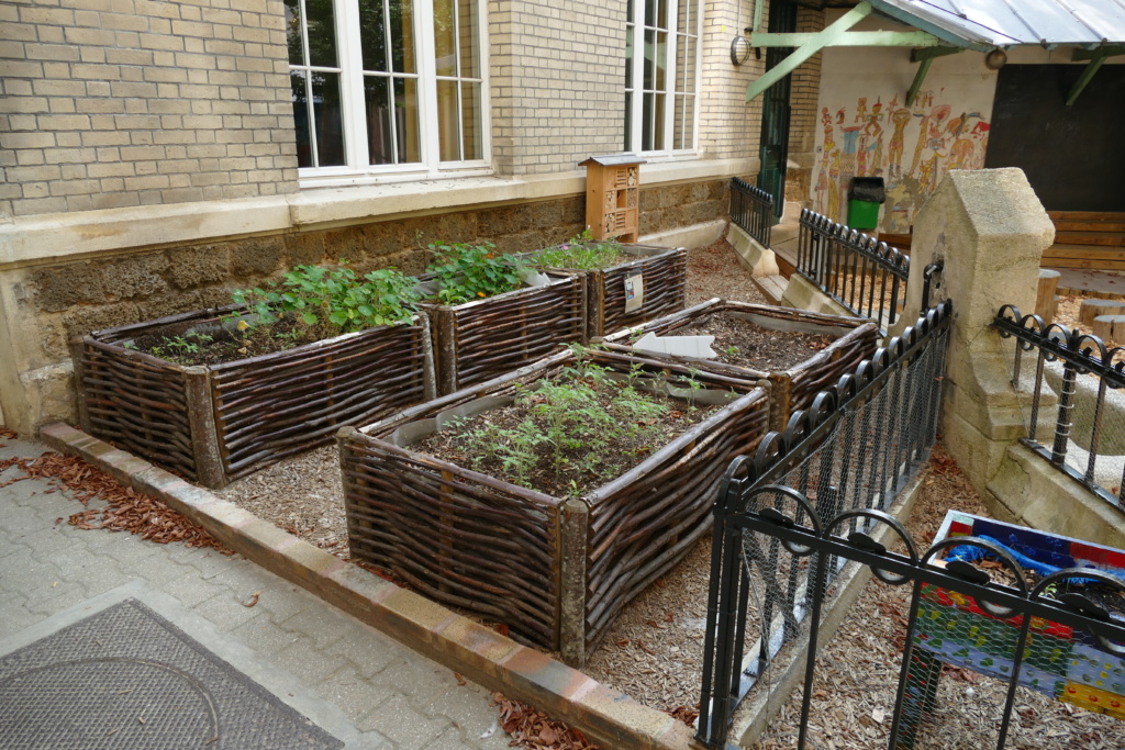 Le jardin pédagogique a été réaménagé avec des bacs en plessis, et rendu accessible grâce à l'ouverture de la clôture.