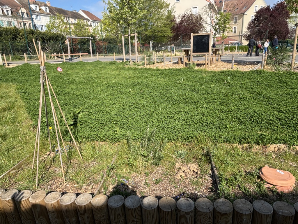 Espace de potager