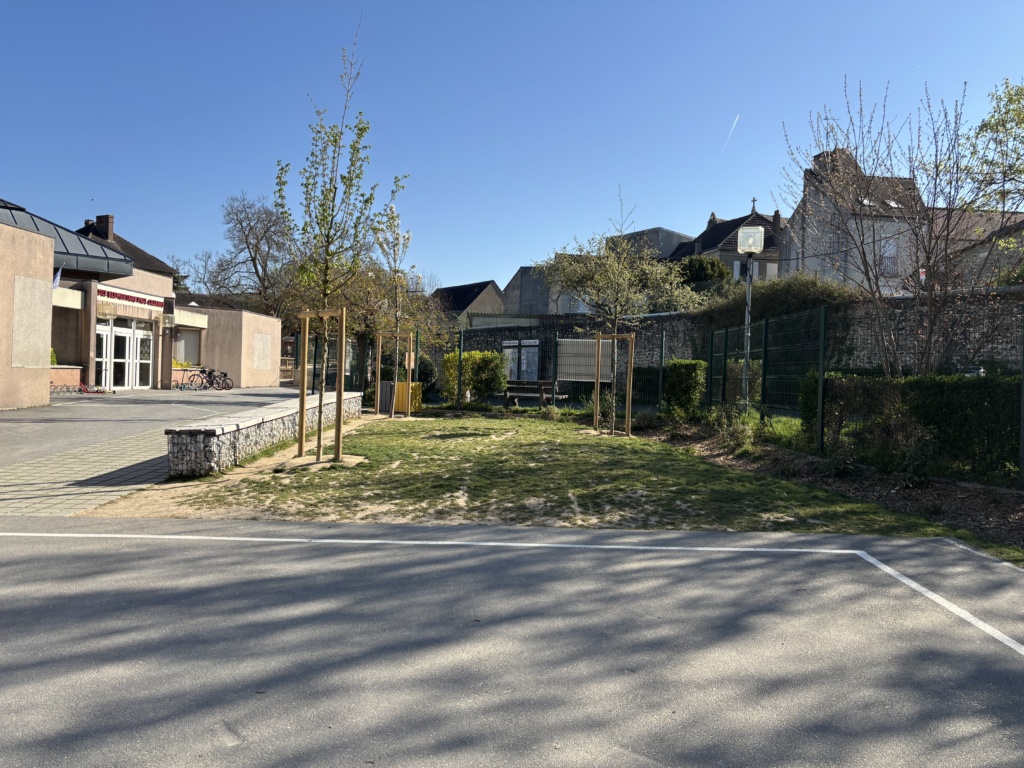 Banc en gabion, pavé et espace enherbé