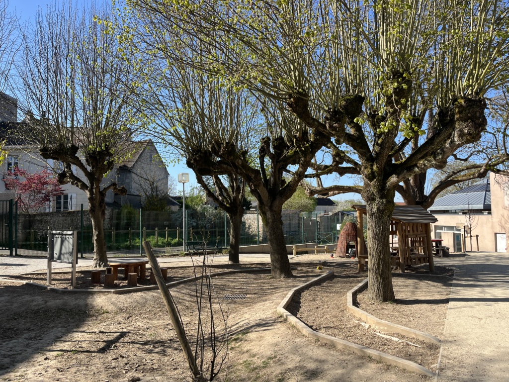Plateau supérieur de la cour