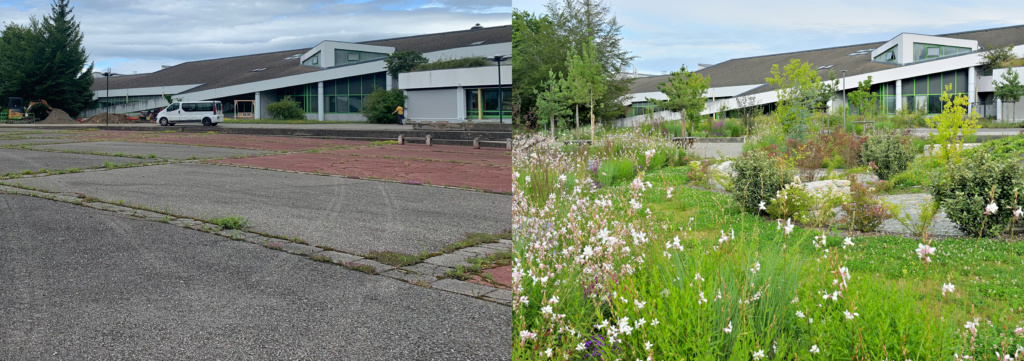 Photos avant / après