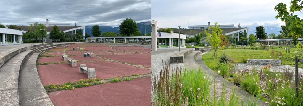 Photos avant / après