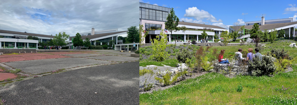 Photos avant / après
