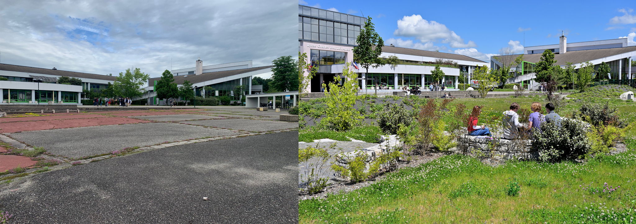 Photos avant / après