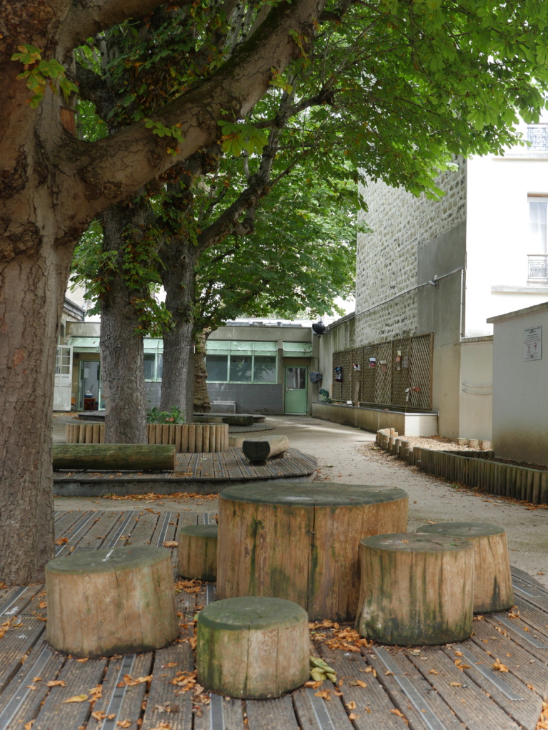 Tables et assises en rondins
