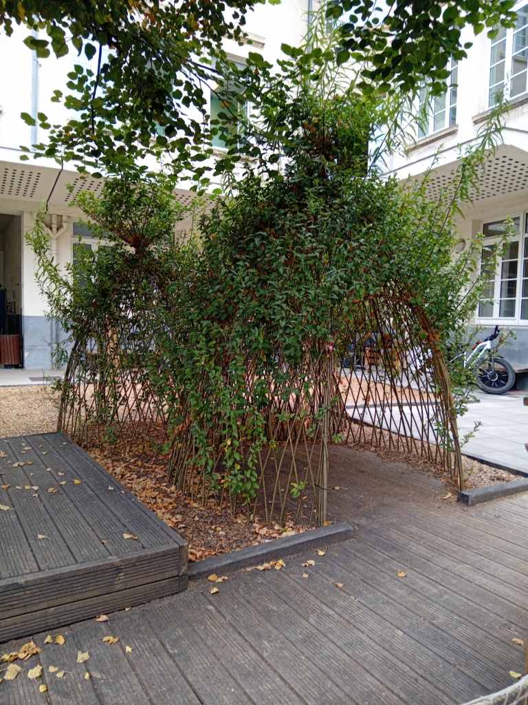 Cour maternelle. Cabanes en osier vivant accessibles PMR côté terrasse