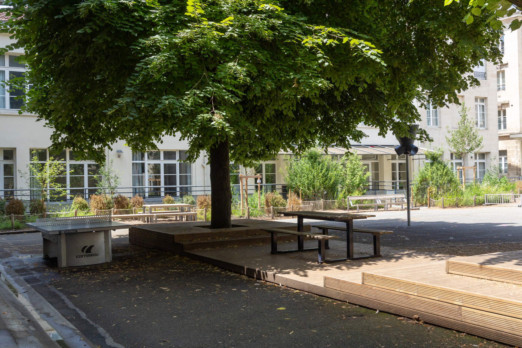Cour élémentaire. Plateformes bois protégeant le système racinaire des arbres existants. Assises, gradins pour l'école dehors